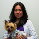 Dr. MARICELA MELGAREJO